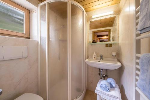 a bathroom with a shower and a sink at Ferienwohnung Enzian Nusserhof in Avelengo