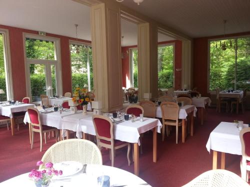 Restaurace v ubytování Le Tronçais
