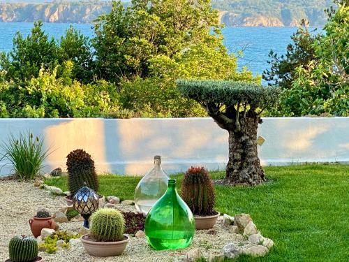 Κήπος έξω από το Casa de oro Alma