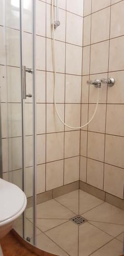 een badkamer met een douche, een toilet en een wastafel bij Wynajem pokoi in Kołobrzeg