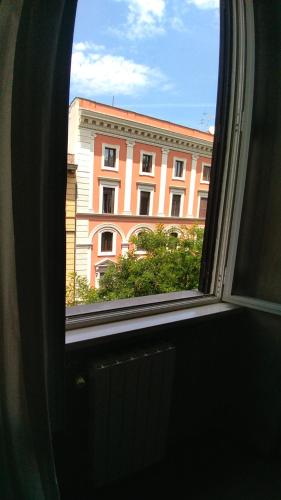 Folia photo 34