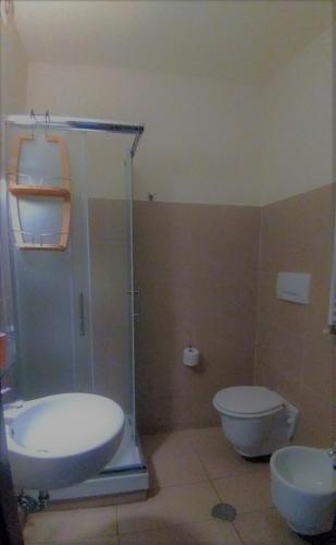 Folia photo 36