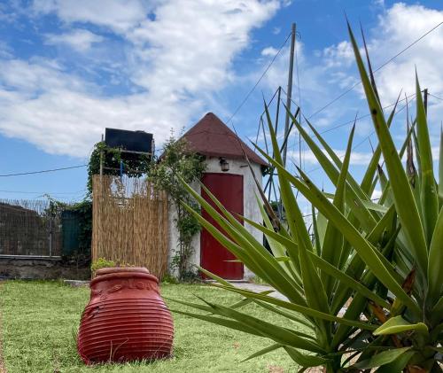 a large vase sitting in front of a house at Casa Lia-Beach Front Villa in Nea Kalikratia