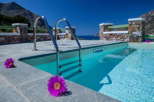 uma piscina com água azul e flores roxas em Xerolithia em Kamari