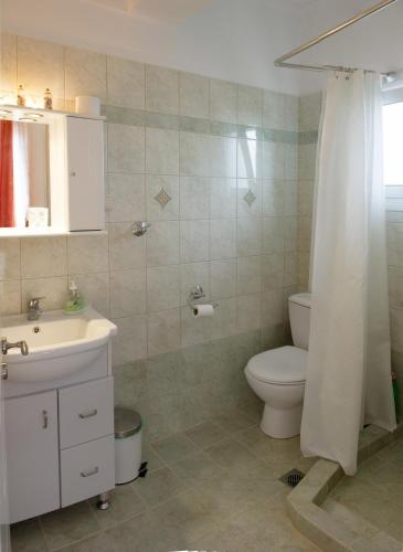 a bathroom with a toilet and a sink at To Ampelaki in Tsoukalades
