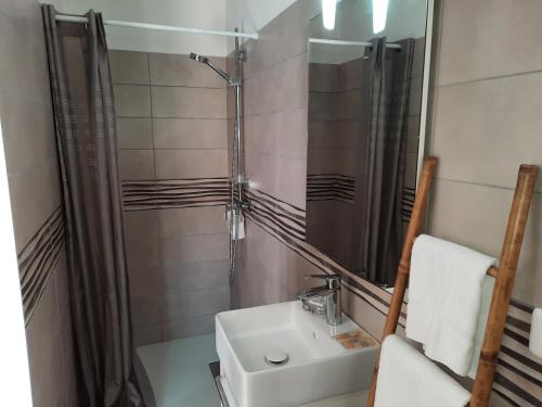 a bathroom with a sink and a shower and a mirror at Les Jardins De Santa Giulia - Charmante chambre d'hôte in Porto-Vecchio
