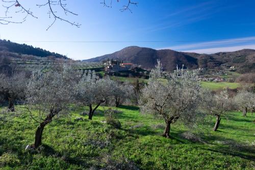 Agriturismo Il Ponticello – Photos 3