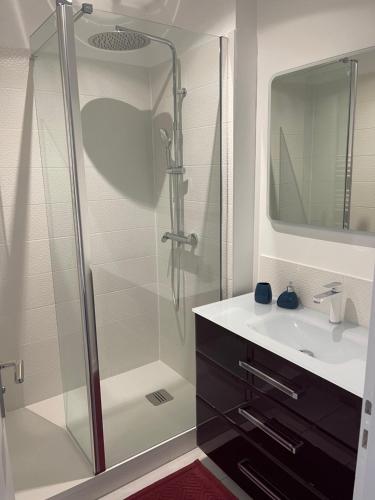 La salle de bains est pourvue d'une douche en verre et d'un lavabo. dans l'établissement Arcachon Situation exceptionnelle proche plage, à Arcachon