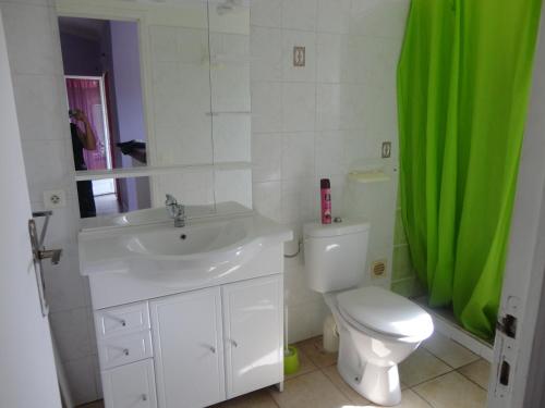 La salle de bains est pourvue d'un lavabo, de toilettes et d'un rideau de douche vert. dans l'établissement Le Pin Parasol, à Porto-Vecchio