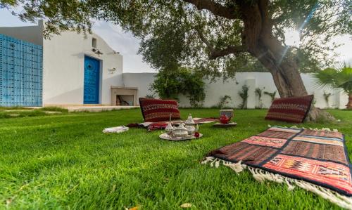 a picnic in the grass under a tree at Villa Jasmin in Houmt Souk
