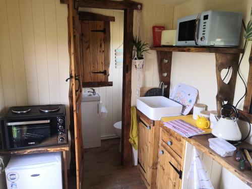 a small kitchen with a sink and a microwave at Y Cwtch in Trefeglwys