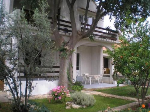 Apartment in Biograd na Moru with Terrace, Air conditioning, Wi-Fi (4801-2)