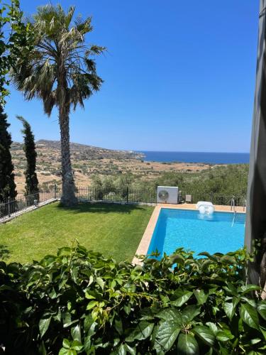 a villa with a swimming pool and a palm tree at Villa Diana in Pitsidia