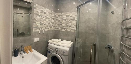 uma casa de banho com uma máquina de lavar roupa e um lavatório em Holiday Apartments 10 em Druskininkai