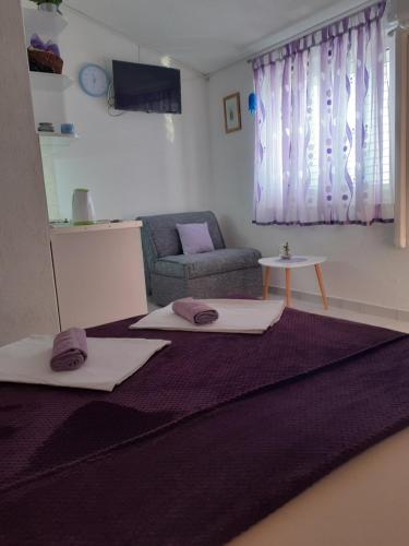 TV a/nebo společenská místnost v ubytování Apartmani Stanković