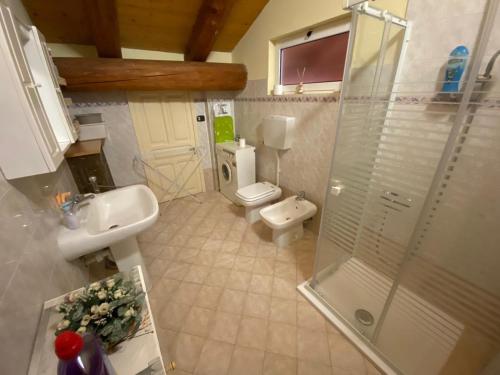 a bathroom with a shower and a toilet and a sink at Casa "La Fucina" in Melle