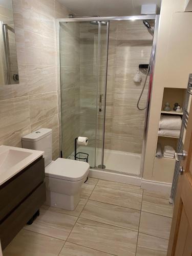 a bathroom with a shower and a toilet and a sink at Crown and Cushion Appleby in Appleby