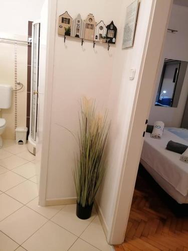 Ein Bett oder Betten in einem Zimmer der Unterkunft Apartments Andrijana