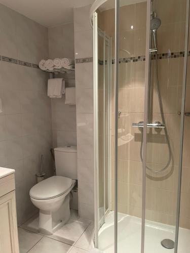 La salle de bains est pourvue de toilettes et d'une douche en verre. dans l'établissement Hôtel Sainte Odile, à Obernai