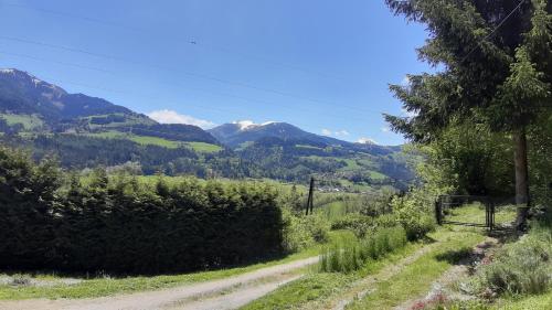 un camino de tierra con montañas en el fondo en Haus Pinter in Schladming - Dachstein Region en Pruggern