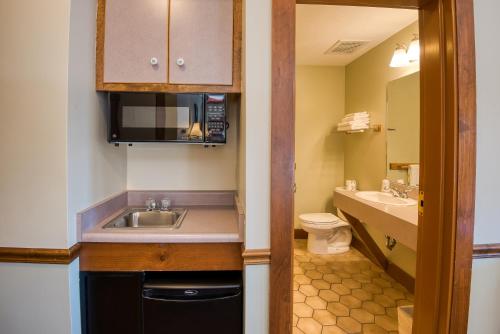 a small bathroom with a sink and a toilet at Purity Spring Resort in Madison
