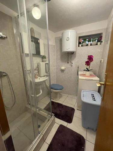a bathroom with a shower and a toilet and a sink at EMSO apartmani in Novalja