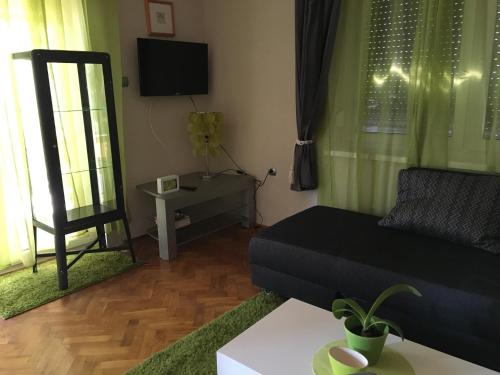 sala de estar con sofá y mesa en Nefelejcs Apartman, en Balatonvilágos