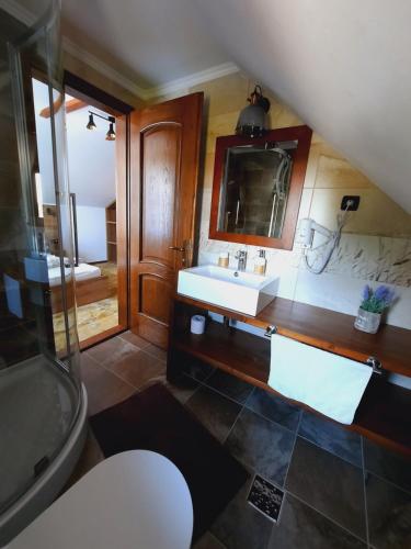 uma casa de banho com um lavatório e um chuveiro em Casa Bran Family em Bran