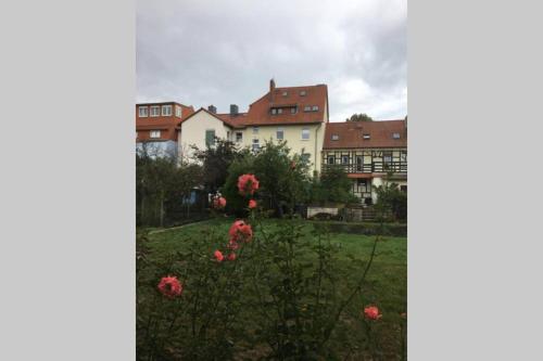 a view of a garden with pink flowers at 4 Sterne Ferienwohnung , 65 qm in Quedlinburg