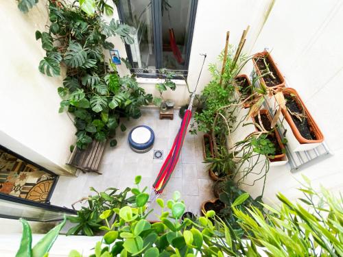 an indoor garden with plants and a red hose at ECO Hostel in Granada