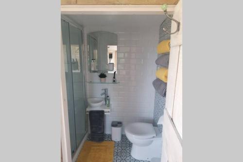 トローブリッジにあるCrown Cabin Wiltshire near Longleat and Bathのトイレと洗面台付きのバスルーム