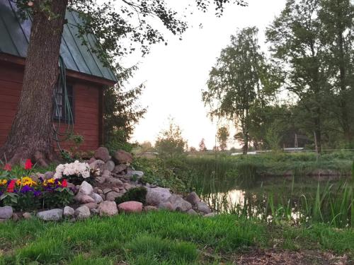 a pile of rocks in front of a tree next to a pond at Agroturystyka Pasynki 44 in Zabłudów