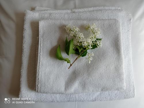 a white towel with a bouquet of flowers on it at Agroturystyka Pasynki 44 in Zabłudów