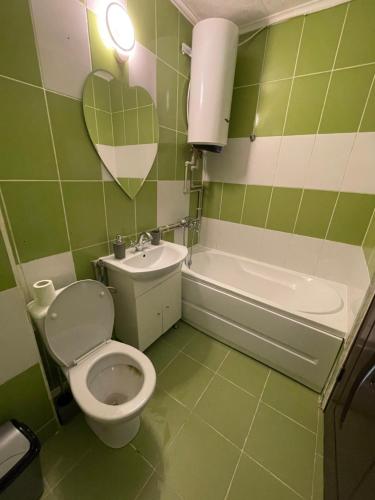 bagno verde con servizi igienici e lavandino di Apartament Denisa a Orşova