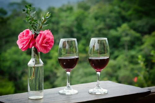 two glasses of wine and a vase of flowers on a table at Pousada Lua de Minas in Visconde De Maua