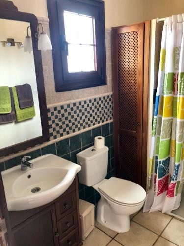 a bathroom with a toilet and a sink and a mirror at CASA CUEVA DE LAS PALOMAS 1 in Las Manchas