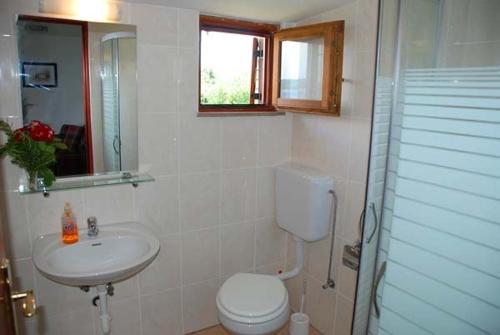 Bilik mandi di Apartment in Pašman with Seaview, Terrace, Air condition, WIFI (4663-2)