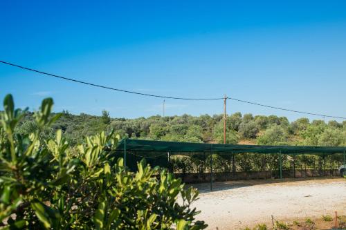 Φωτογραφία από το άλμπουμ του Μονόπετρο στη Μεταμόρφωση