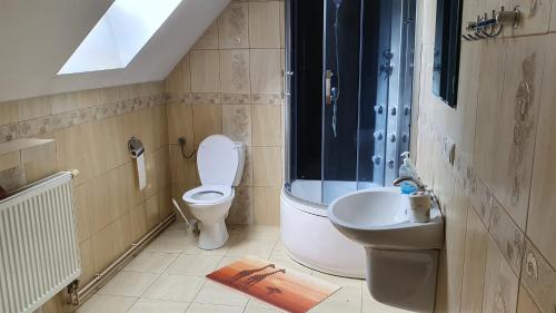a bathroom with a toilet and a sink at Domy nad jeziorem in Bogaczewo