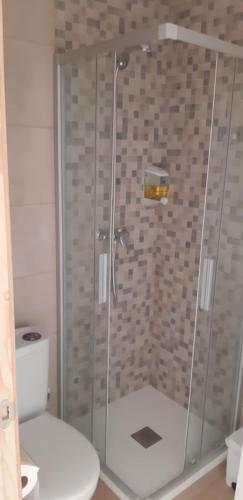 a shower in a bathroom with a toilet at Piso La Buganvilla in Bailén