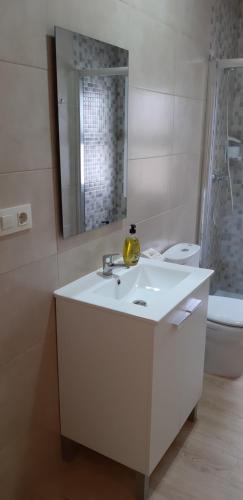 a white bathroom with a sink and a mirror at Piso La Buganvilla in Bailén