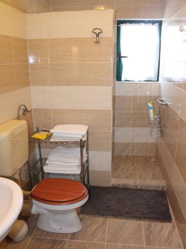 Koupelna v ubytování Apartment in Kali with sea view, balcony, air conditioning, Wi-Fi (4566-2)