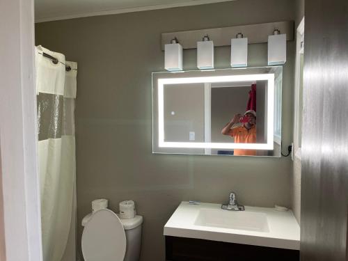 a bathroom with a sink and a mirror and a toilet at Timberly Motel in Gaylord