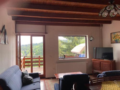 a living room with a couch and a window at Apartments Holiday Home Srce in Kopaonik