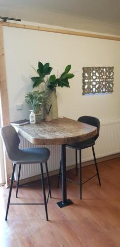 a table with two chairs and a potted plant at Rust en Stilte in de Natuur in Onstwedde