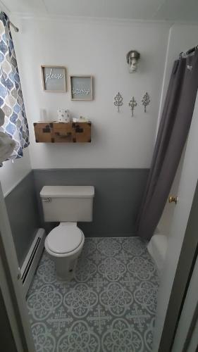 a small bathroom with a toilet and a shower at Sage Motel in Greybull