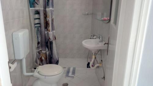 a small bathroom with a toilet and a sink at Sivotahomes-blu in Syvota