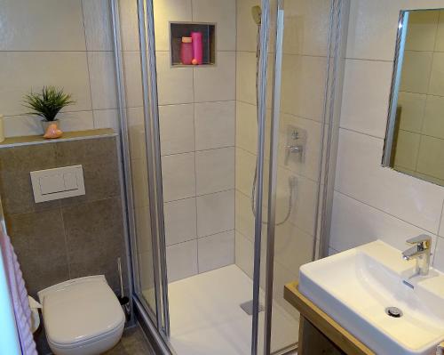 a bathroom with a shower and a toilet and a sink at Kingershof in Galtür
