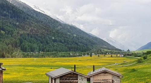 two wooden buildings in a field with a mountain at Chalet Breithorn- Perfect for Holiday with Amazing View! in Obergesteln