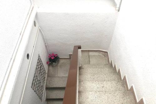a stairway with a potted plant on the wall at M5 Cool Terrace. Metro 1 min. Center 15' by metro in Esplugues de Llobregat